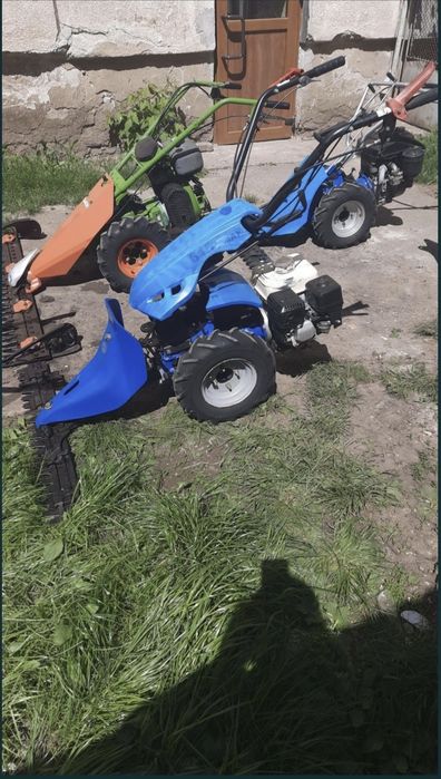 Bcs ferrari bertolini grillo