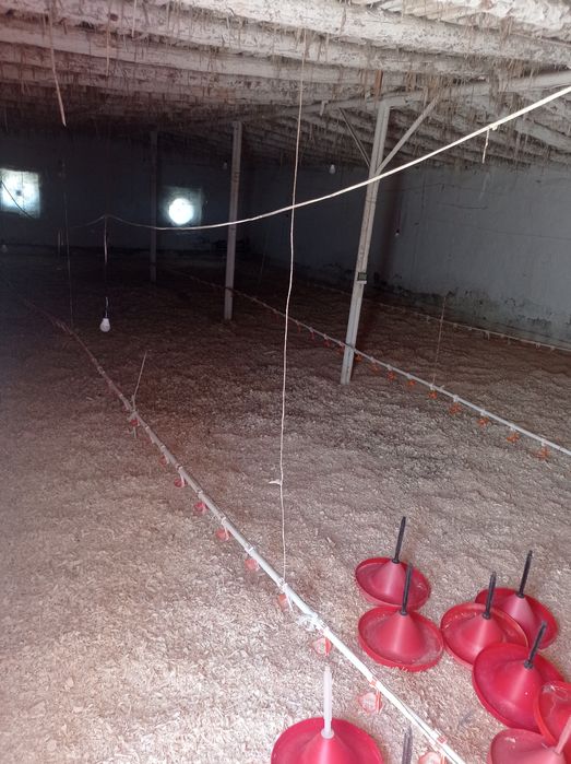 Broler boqishga joy ijaraga beraman