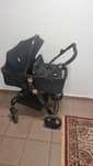 Căruț 2 in 1 landou+sport