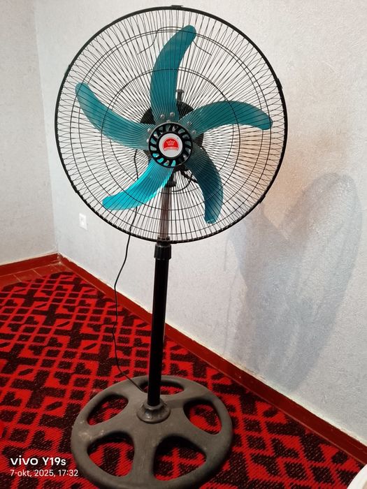 Ventilyator (vintilyator )