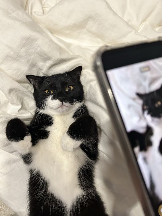 Писать на ватсап , не звонить !!!