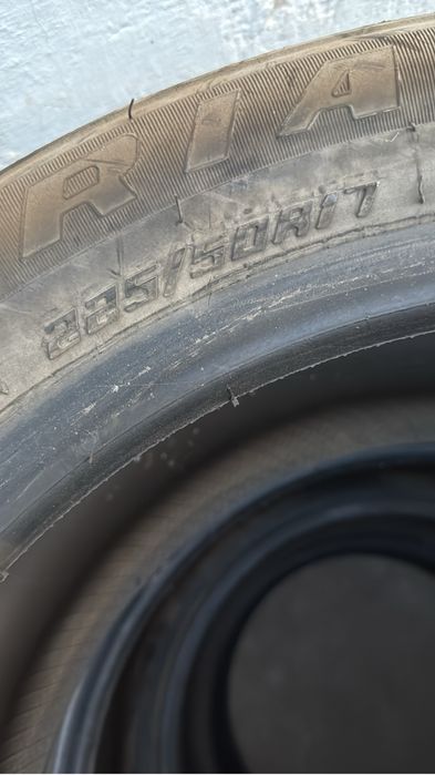 Зимнии балон цена дог