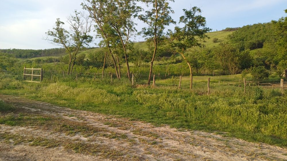 Casa cu teren 1 hectar în sat Roșcani, la 40 km de Iași.