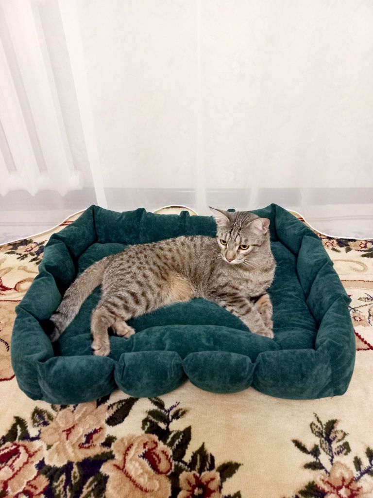 Лежанка для котов и собак