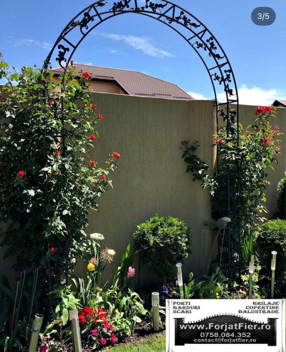 Pergola trandafiri