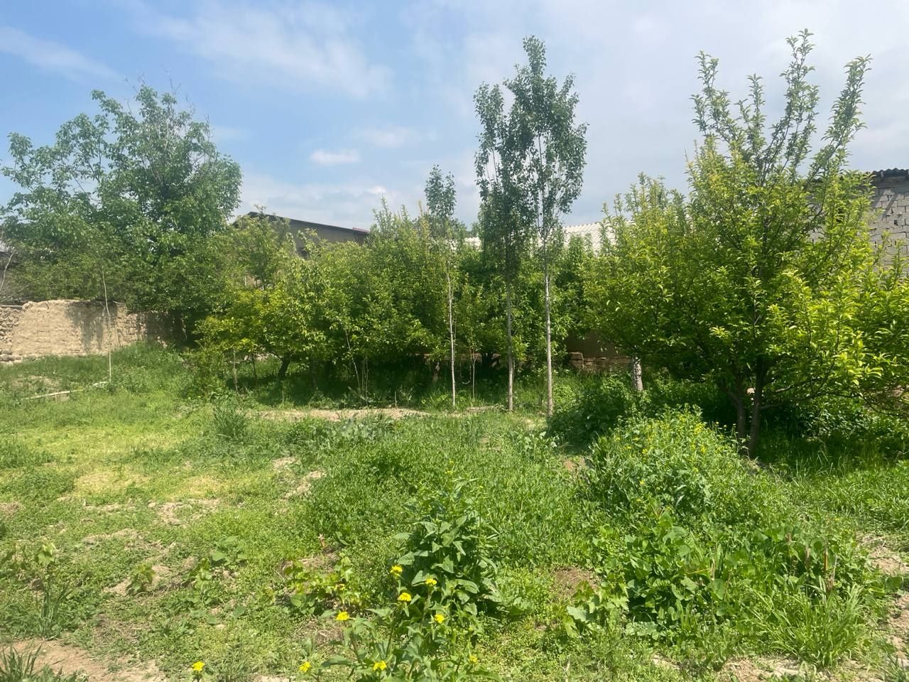 Parkent tumanida 5 sotih yer sotiladi
