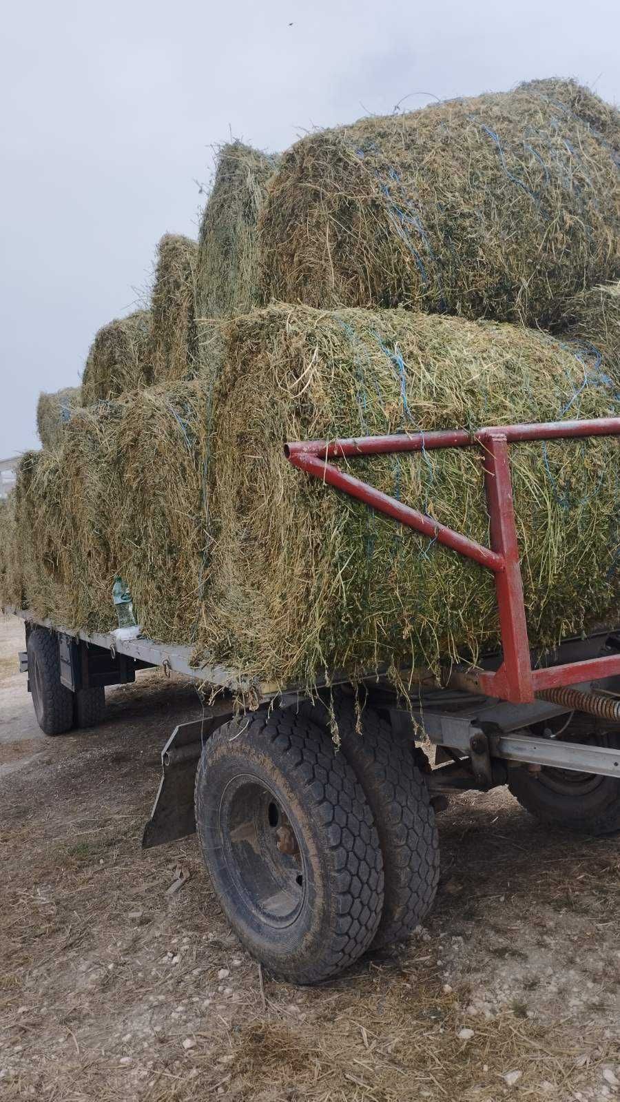 Продавам бали люцерна