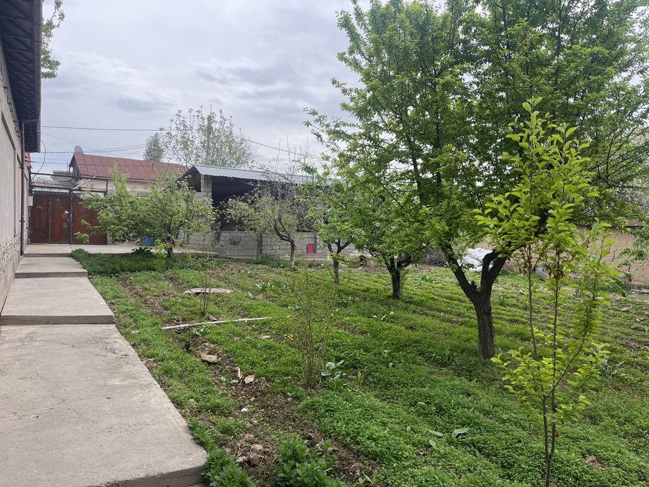 Продается дом Лимонария