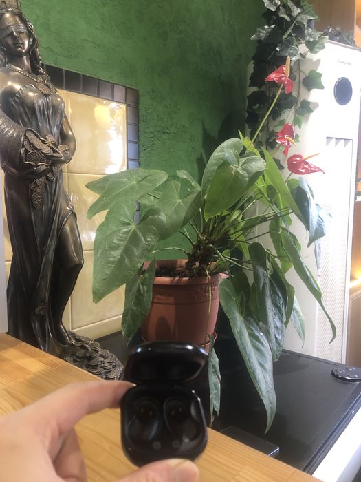 Кейс без наушников Samsung galaxy buds live