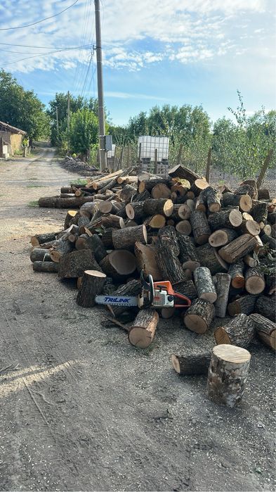 Косене , чистене на дворове и паркове и рязане на дървета