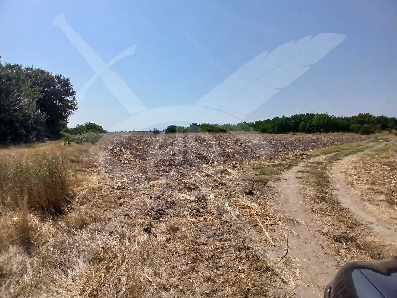 Парцел с. Желязно