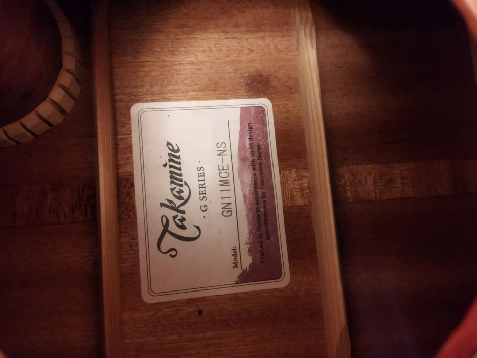 Електроакустична китара