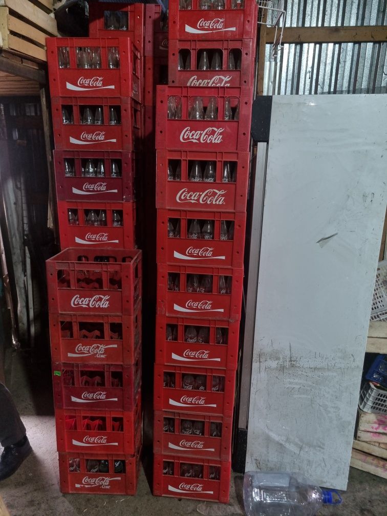 Kola tara sotaman arzon narxda