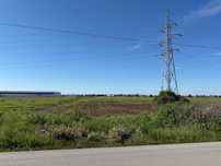 Teren de vanzare intravilan 10.000 mp, Paulesti, zona Parc Industrial