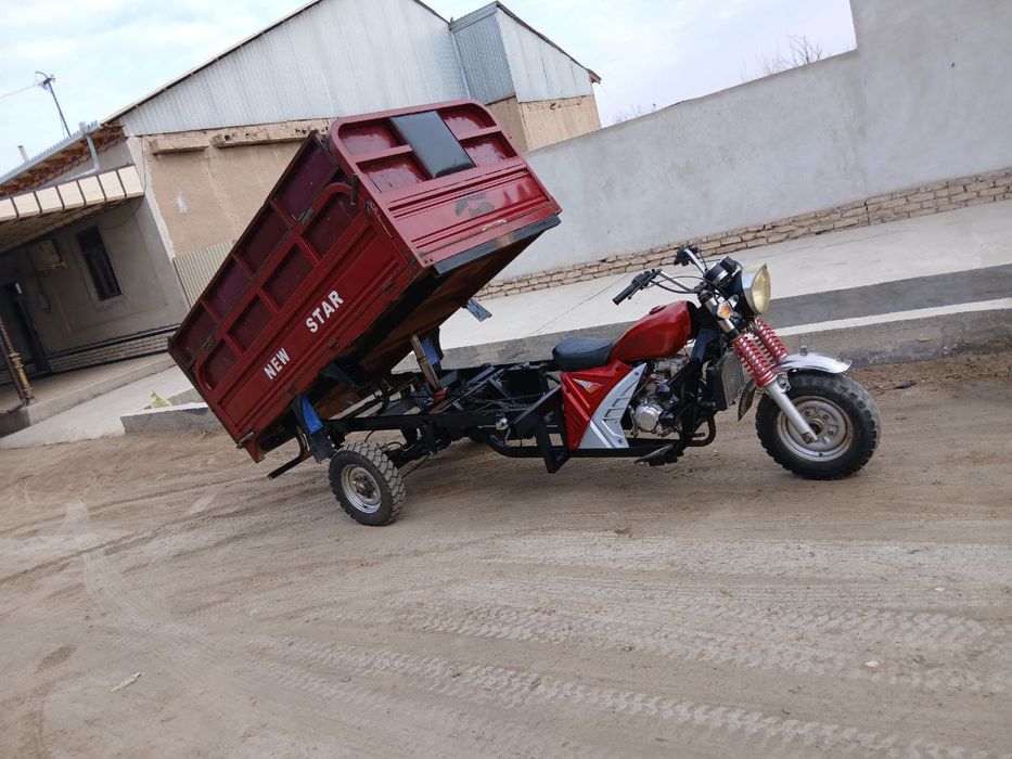 New star murave sotiladi