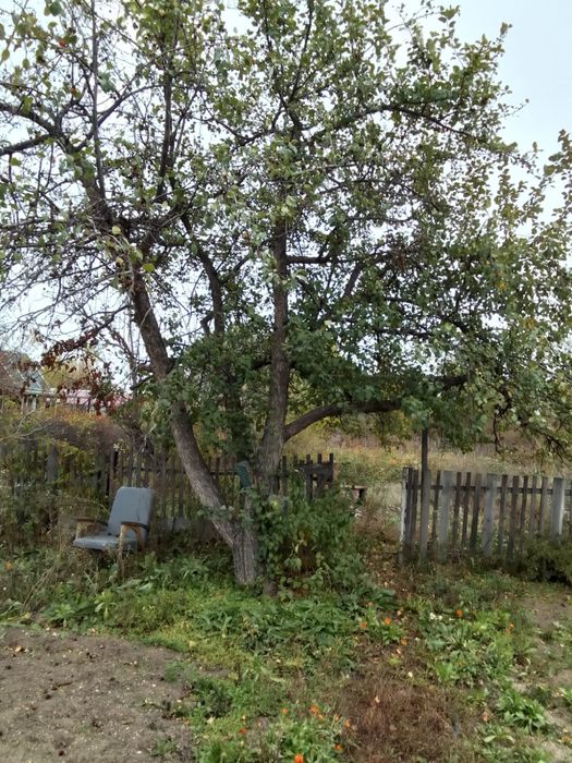 Продаю дачу в дс Строитель/Алма