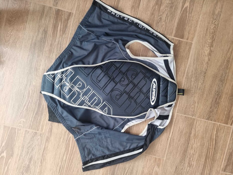 alpina back protection armura
