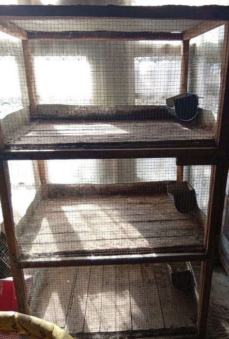 Quyon kataklar xolati yaxshi