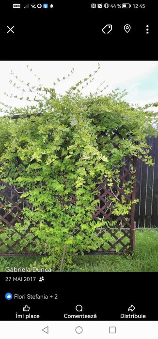 Casa de vacanta+teren