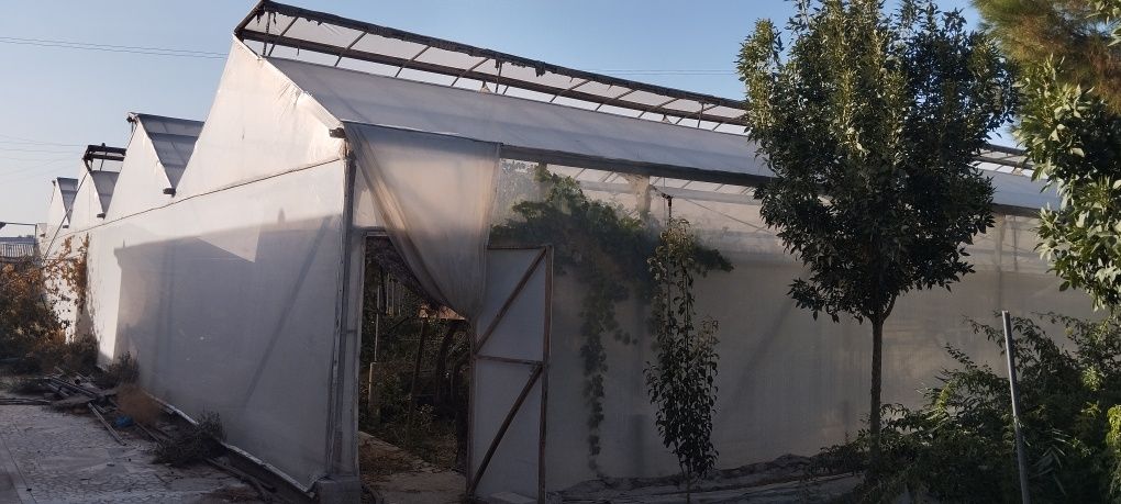 14sotixli (Teplitsa) Issiqxona sotiladi
