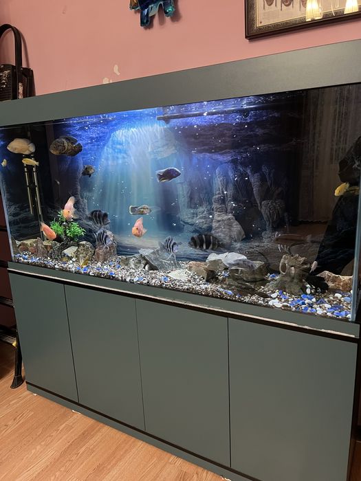 Аквариум 600 комплект