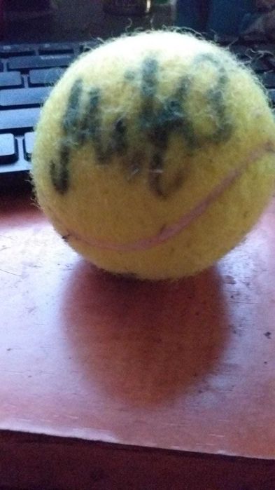 minge tenis autograf mihaela buzarnescu