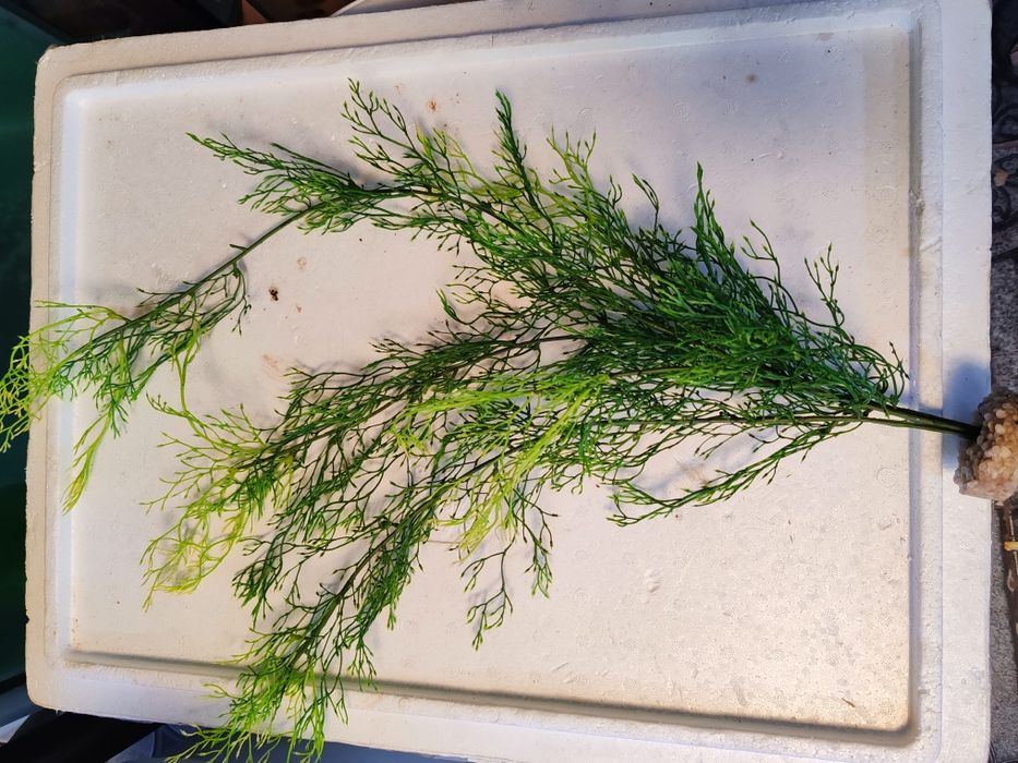 Planta artificiala de 70 cm înălțime cu greutate