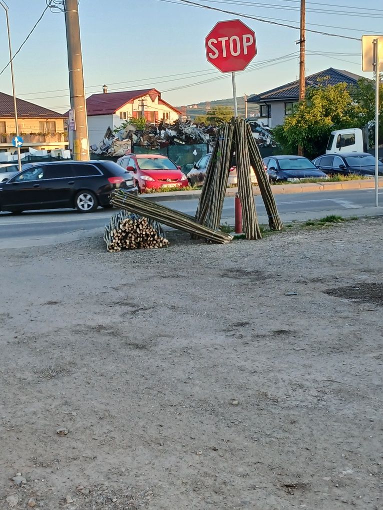 Vând pari de roșii și de fasole și de gard eletric preț fix 2 lei
