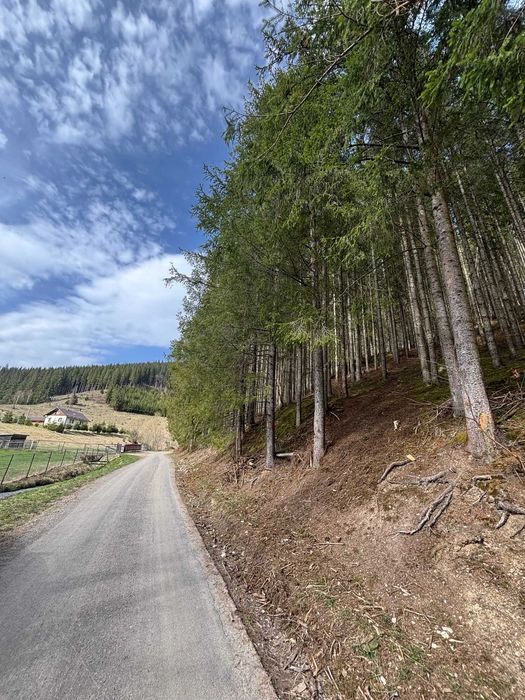 Teren de vânzare în Com. Ciocănești, Sat Botos, județul Suceava,