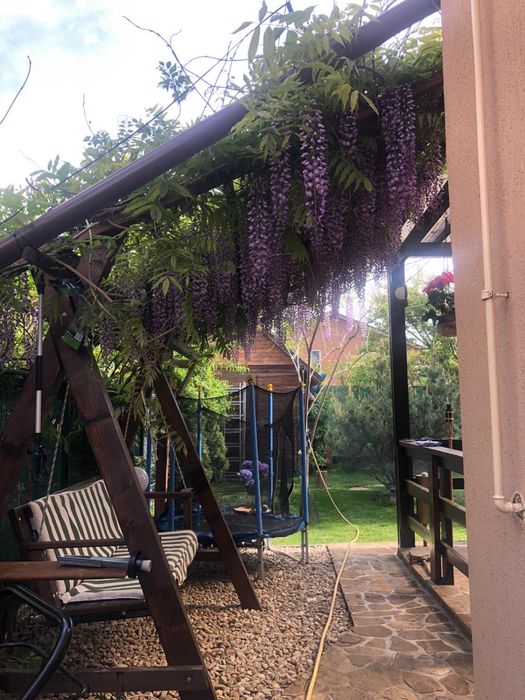 Direct proprietar inchiriez Casa P+M Corbeanca