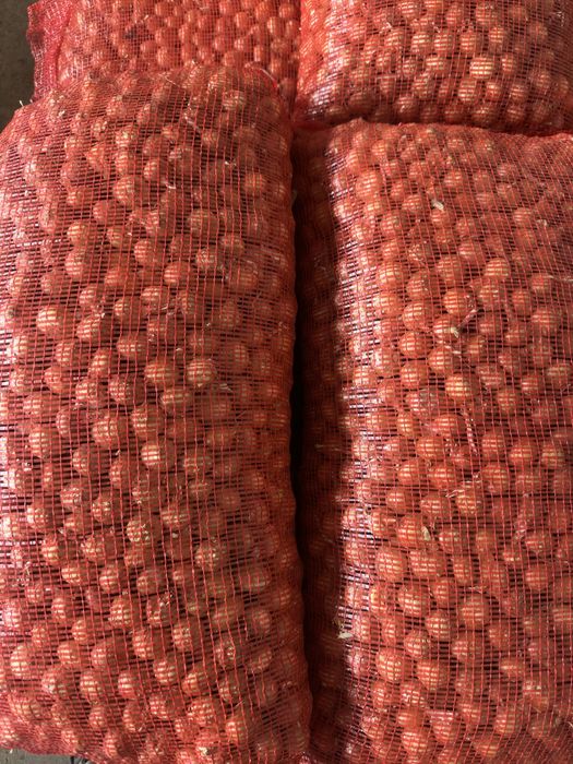 Арпаджикова балучка за зелено