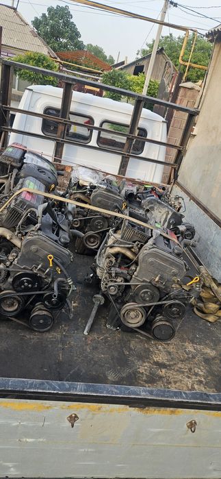 Маторы из европы