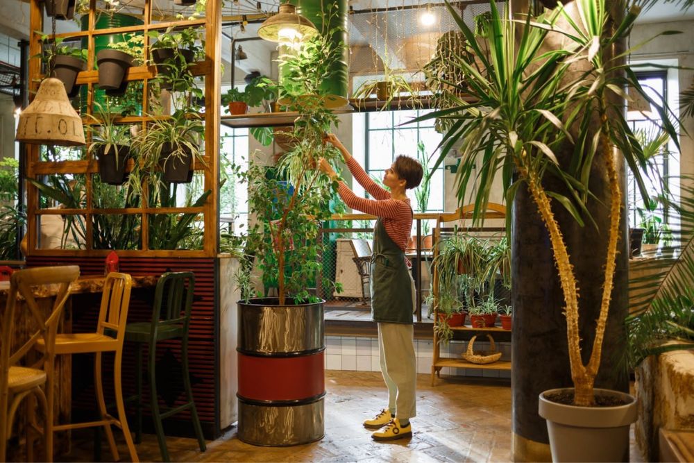 Хона гулларига парвариш хизмати!