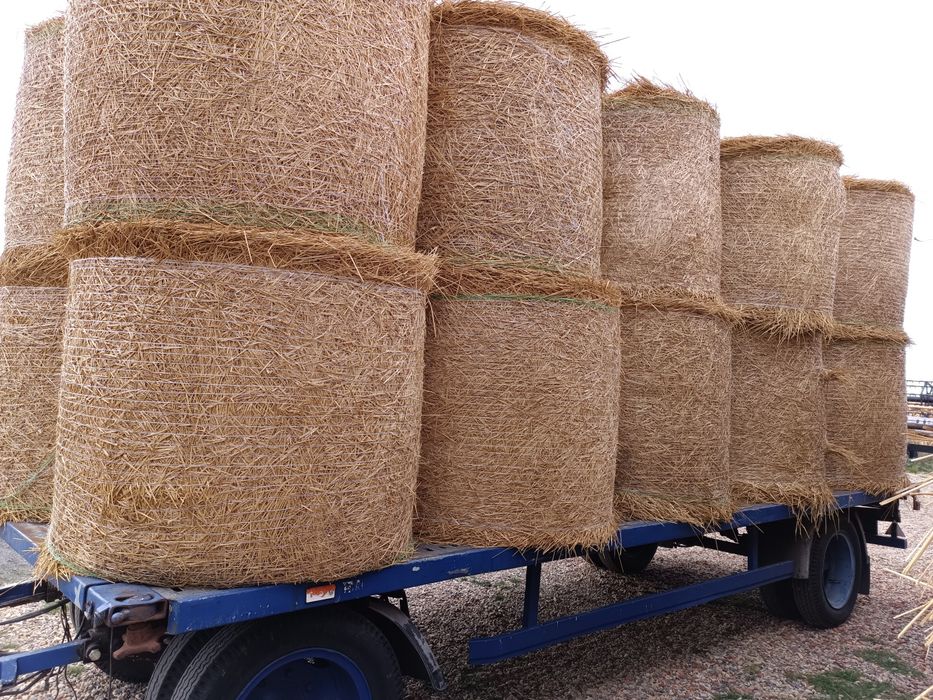 Baloți de tulei, tocătură și de paie