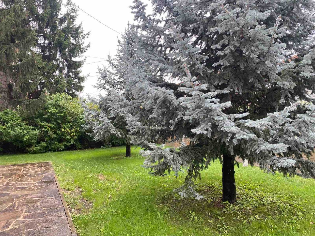 Продава се Къща в Баня - 390 кв.м за 744 €/кв.м - Снимка #7