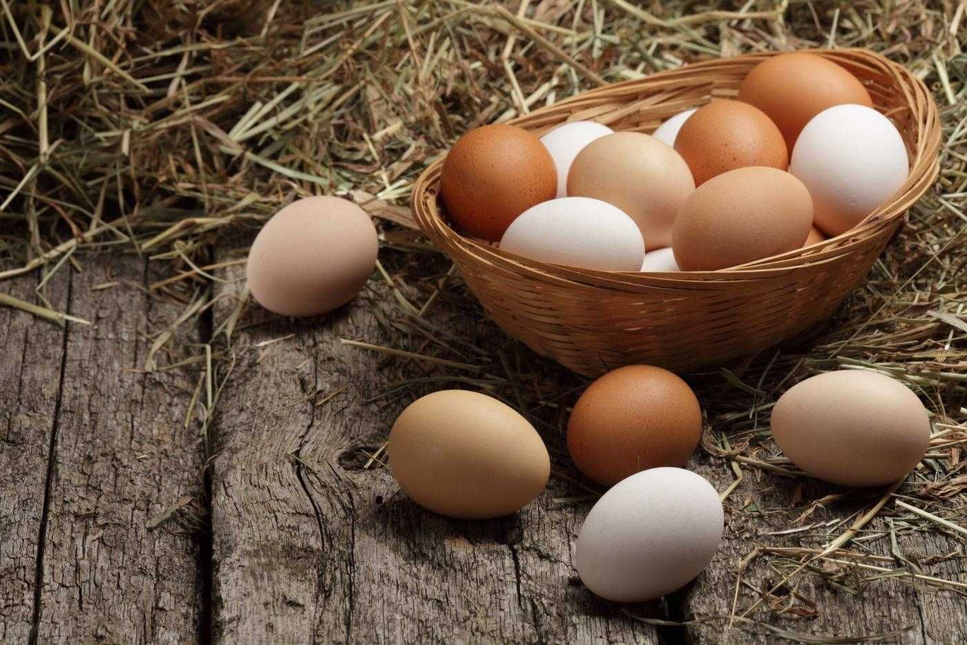 Яйца куриные домашние