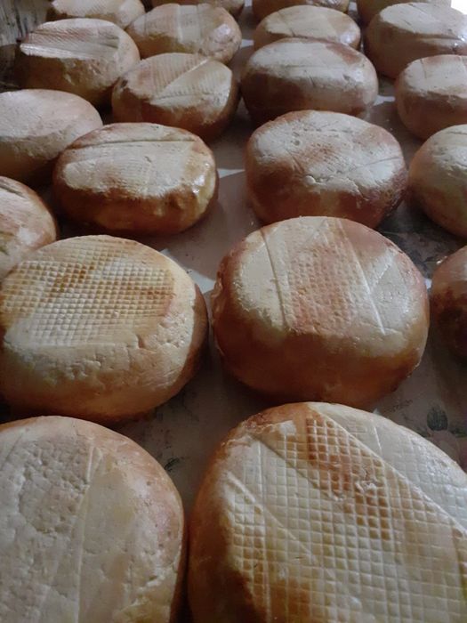 Caș afumat de vanzare