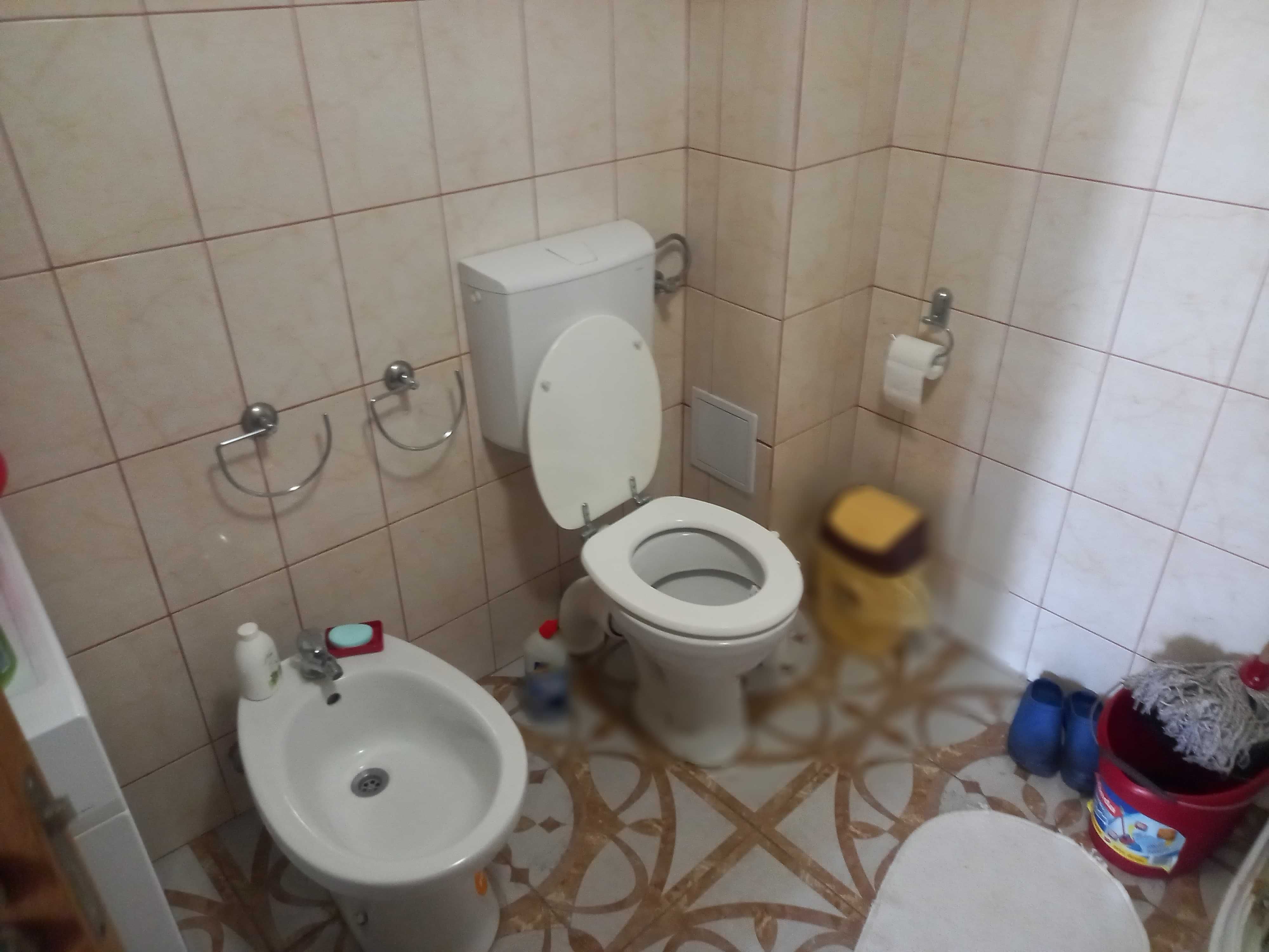 Vila comuna Stefan Cel Mare 160mp si 2400mp teren beci , fintina