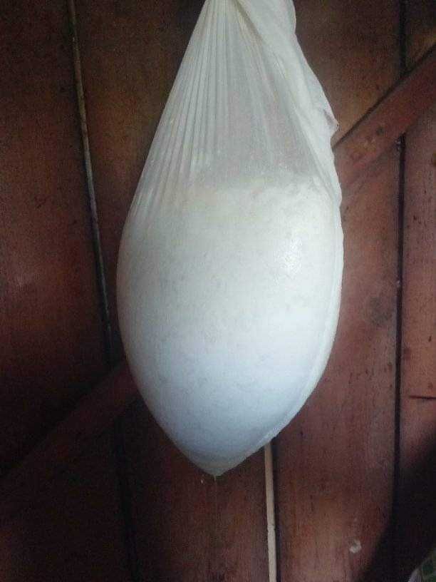 Vand branza prospata din lapte de oaie !