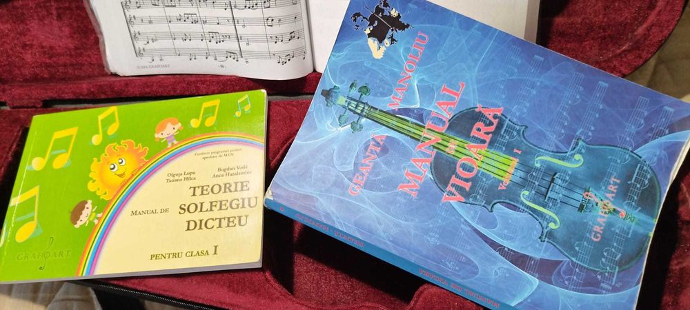 Vioara 3/4 lemn, folosita