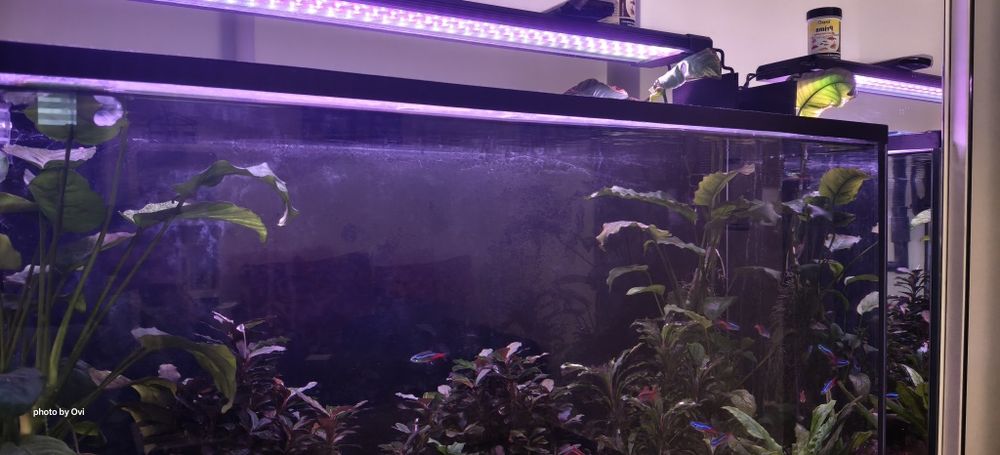 Acvariu complet cu accesorii