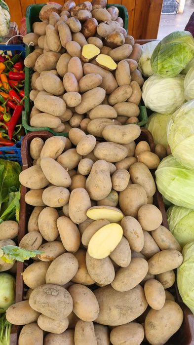 De vânzare ceapă albă si rosu