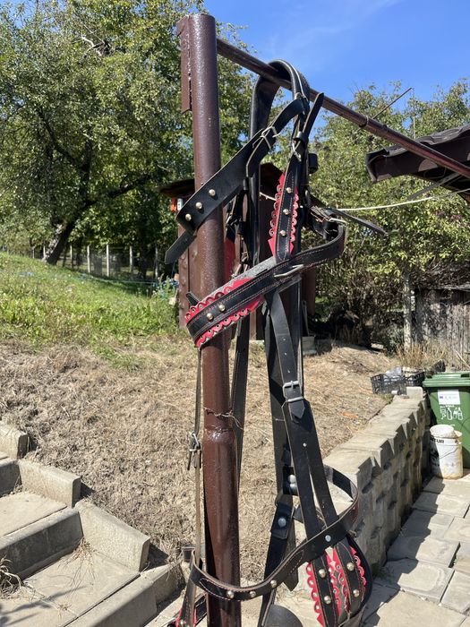 Vand ham de ponei nou