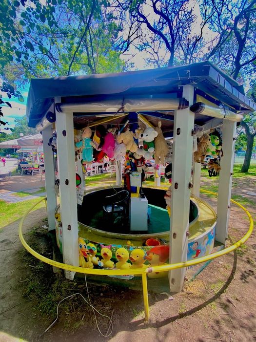 Детски Атракцион Улови Патето