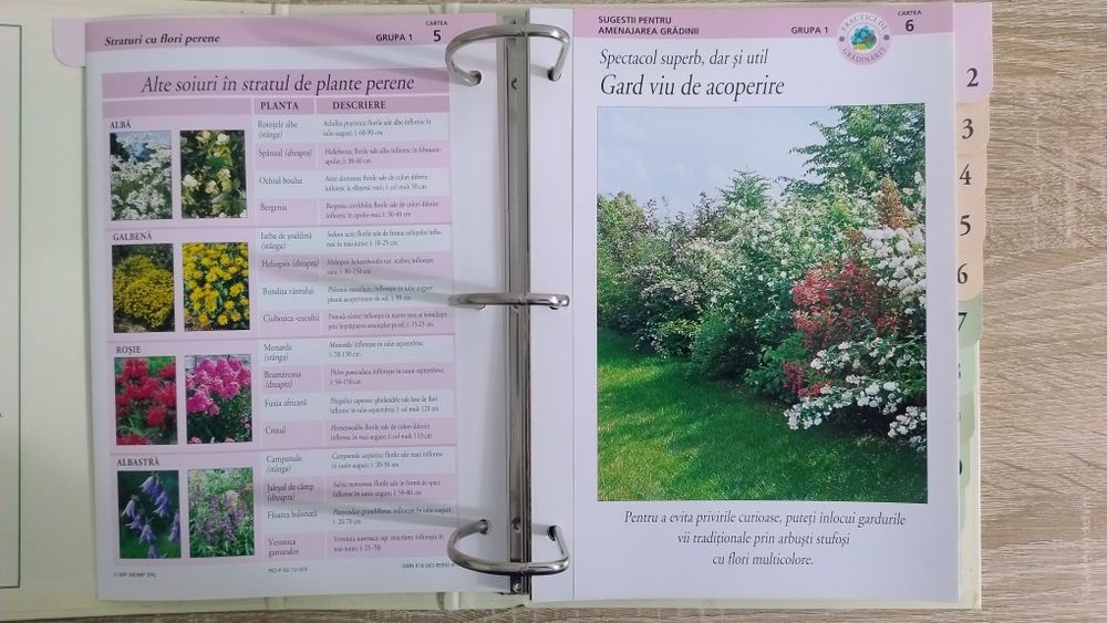 Grădinărit in orice anotimp