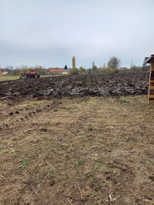 Vand teren intravilan in simand arad