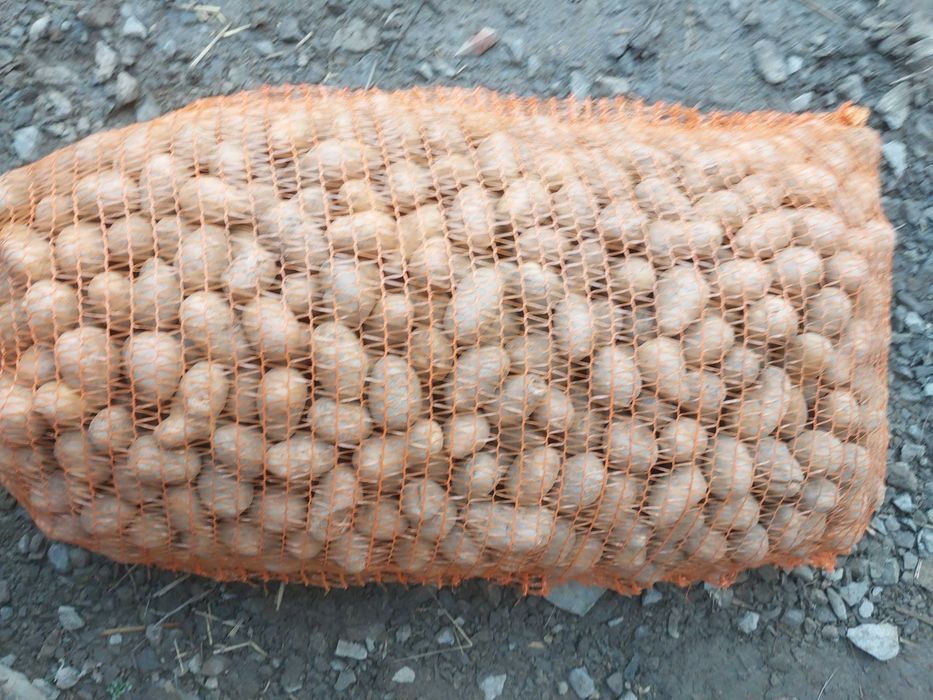 Cartofi mărunt pentru animale