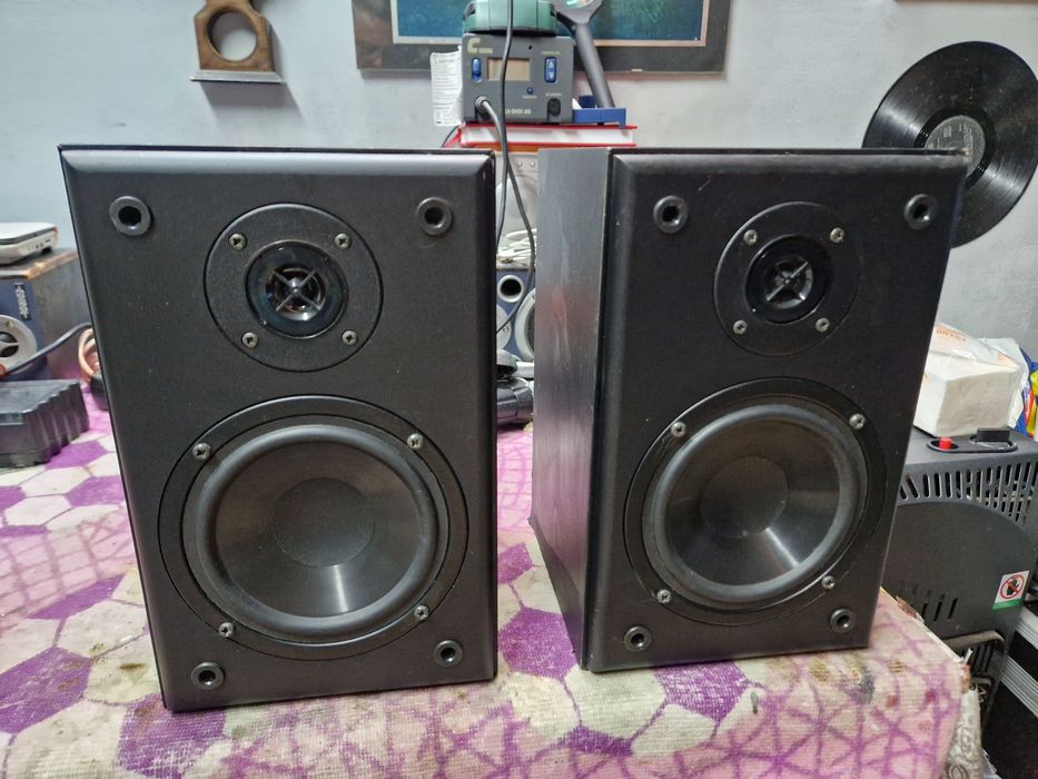 Monitoare (boxe) lady micro 60w