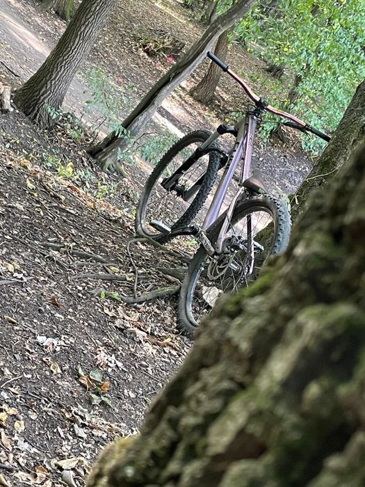 Bicicleta cube flyng circuls