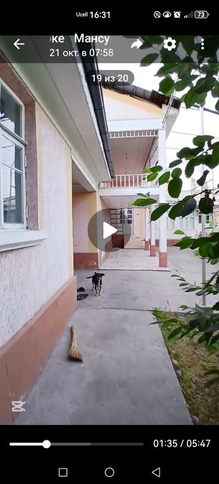 Ховли сотилади 15 сотих янгибозорда юқори чирчиқда